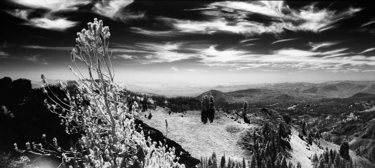 Hello from the Dorkroom!