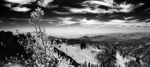 Hello from the Dorkroom!